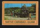 GUAM Postcard - Bull
