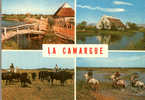 CARTE POSTALE DE CAMARGUE - TAUREAUX - CHEVAUX - Tauri