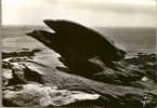 CARTE POSTALE DE BRETAGNE : QUIBERON , CURIEUX ROCHER EN FORME D AIGLE SUR LA FALAISE ENTRE BEG ER VIL ET LA POINTE - Dolmen & Menhirs