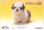 Carte Prépayée JAPON - ANIMAL -  CHIEN SHIH TZU - DOG JAPAN Prepaid Bus Card - Hund Cane Perro - FR 02 - Hunde