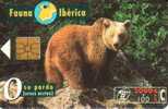 SPAIN 2000 PTAS  BROWN BEAR  ANIMAL ANIMALS   FAUNA  IBERICA  SPECIAL PRICE !!! - Emissioni Di Base