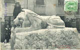 SUISSE - CANTON De NEUCHATEL - LA CHAUX De FONDS - LION De NEIGE En 1907 - La Chaux-de-Fonds