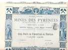TITRE  .MINES DES PYRNEES .1898 - Chemin De Fer & Tramway