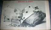Piggy Bank,vintage Postcard,coins,new Year - Varkens
