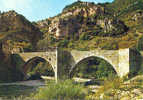 602 St.-Enimie Le Pont Sur Le Tarn...En Parcourant Les Gorges Du Tarn - Florac