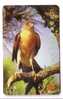 EAGLE ( Old & Super Rare China Card Autelca System - NOT FAKE ) – Aigle - Adler - águila - Falcon - Faucon - Eagles & Birds Of Prey