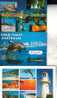 3 Dolphin Postcard - 3 Carte De Dauphin - Dauphins