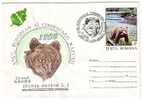 ROMANIA COVER WITH CANCELL OURS BEAR URSUS ARCTOS 1995. - Osos