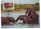 UGANDA 1983 MAXICARD WWF, ELEPHANTS,VERY NICE. - Elefanti