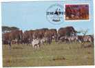 UGANDA 1983 MAXICARD WWF, ELEPHANTS,VERY NICE. - Eléphants