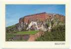 90 - BELFORT - Le Chateau - Le Lion - Belfort – Le Lion