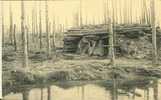 Ruines De La Forêt D'Houthulst 1914-18 - Abris Sous Bois - Houthulst