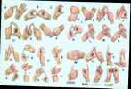 Post Card , Scouting Alphabet - Altri & Non Classificati