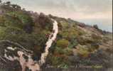 Porlock Hill : Lynton & Minehead Coach - (c1526) - Lynmouth & Lynton