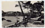 K2 - Île De PORQUEROLLES - La Pointe Du Pin - Au Fond, La Plage Notre-Dame (1957) - Porquerolles