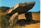 B - 85 - BRETIGNOLLES Sur MER - Le Dolmen De La Pierre Levée - Dolmen & Menhire