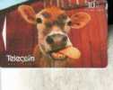 1 Cow Phhonecard - 1 Telecarte Vache - Perros