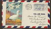 DUCKS ADHESIVE On COMM COVER ANNAPOLIS 1950 With Airmail Scott C43 - Glove And Doves - Eenden