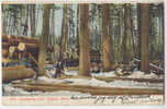 Lumbering Near DULUTH , Minn . Woodcutter . - Other & Unclassified