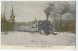 Drawing Logs To Park Rapids - Train , Park Rapids - Minnesota . - Other & Unclassified