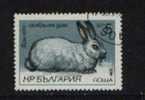 BULGARIE ° 1985 N° 2993 YT ANIMAUX LAPINS - Usados