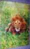 Lion, Wild Animals, Postcard,Africa - Leones