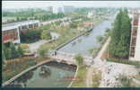 Basketball - The Basketball Court In Shanghai Teachers University, China Pre-stamped Postcard - Basketbal