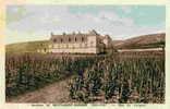 NUIT-SAINT-GEORGES - Clos De Vougeot - Nuits Saint Georges