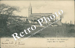 ARS SUR MOSELLE L'église Dans Les Vignobles Nels Série 105 N°41 - Ars Sur Moselle