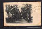 58 LORMES Promenade, Ed DESvignes, 1904, Dos 1900 - Lormes