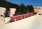 Chemins De Fer - Train Entre Le Col De Soud Et Bretaye - SUISSE - Materiale