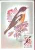 RUSSIE CARTE MAXIMUM NUM.YVERT 4842 FAUNE OISEAUX - Maximum Cards