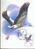 RUSSI CARTE MAXIMUM NUM.YVERT ANNEE 4918 OISEAU CONGRES ORNITHOLOGIE - Maximum Cards