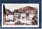 HAUT RHIN - Ribeauvillé - Place De La Jauge Avec Fontaine - Ribeauvillé