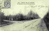 1906 - CIRCUIT DE LA SARTHE - Déviation Dans La Forêt De Vibraye - Vibraye