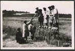 CPSM    AU PAYS LANDAIS   Un Groupe D'échassieurs  Béret   Poème De Jean André Jeannin  Peau De Mouton  Echasses - Midi-Pyrénées