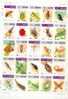 Bhutan Stamps Sheet ** (2) - Bhutan