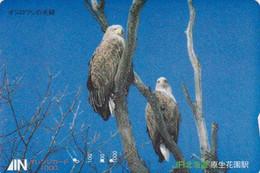 RARE African EAGLE Bird Of Prey Japan Card EAGLE - Carte Orange JAPON - ANIMAL Oiseau Aigle Adler Vogel Karte - 09 - Águilas & Aves De Presa