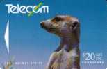 NEW ZEALAND  $20 MEERKAT ANIMAL ANIMALS  MINT EARLY CARD CODE : NZ-G-36 SPECIAL PRICE - Nouvelle-Zélande