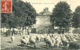 78 - YVELINES - MAGNANVILLE - PLACE De La MAIRIE - BERGER Et Ses MOUTONS - BELLE ANIMATION - EDIT. MARTIN - Magnanville