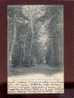 13296 Château De Vizille L'allée Des Soupirs édit.robert Belle Carte Précurseur - Vizille