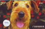 CHIEN HOND DOG  HUND CANE PERRO CÃO Sur Telecarte Phonecard (373) - Cani