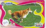 HOND DOG CHIEN HUND CANE PERRO CÃO Op Telefoonkaart Phonecard (393) - Honden