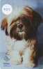 DOG HOND CHIEN HUND CANE PERRO CÃO Op Telefoonkaart Phonecard (432) - Dogs