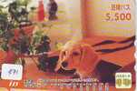 CHIEN BULDOG HOND DOG  HUND CANE PERRO CÃO Sur Telecarte Phonecard (471) - Hunde
