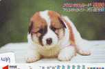 HOND DOG CHIEN HUND CANE PERRO CÃO Op Telefoonkaart Phonecard (499) - Hunde