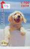 HOND BASSET DOG CHIEN HUND CANE PERRO CÃO Op Telefoonkaart Phonecard (513) - Hunde