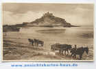 D 4520 - St. Michaels Mount, Penzance - Foto-Ak - Other & Unclassified