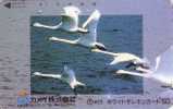 Télécarte JAPON - ANIMAL - OISEAU CYGNE Cygnes Sauvages En Vol - SWAN BIRD JAPAN Phonecard - Schwan - 07 - Altri & Non Classificati