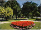 Carte Postale 42 De Firminy - Le Jardin Public - Firminy